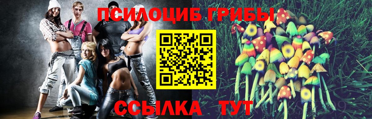 Галлюциногенные грибы ЛСД Электрогорск