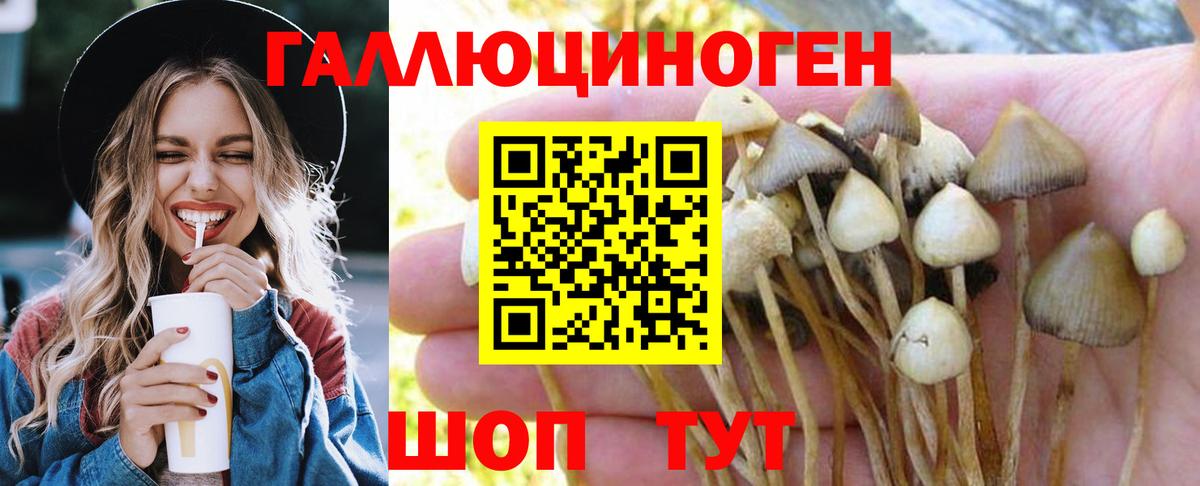 Псилоцибиновые грибы мицелий  Вход с VPN  Электрогорск  Галлюциногенные грибы ЛСД 