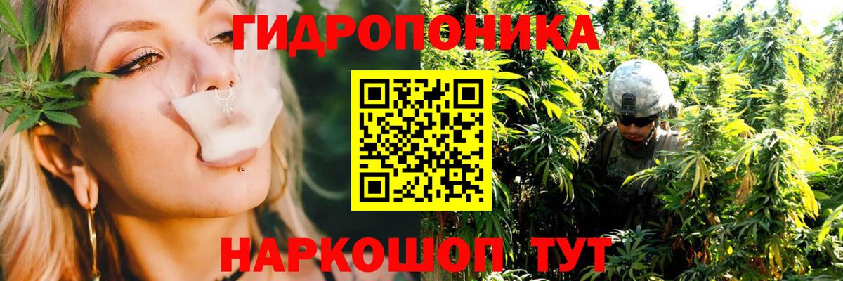 Электрогорск  Каннабис планчик  Вход с VPN  Бошки Шишки тримм 